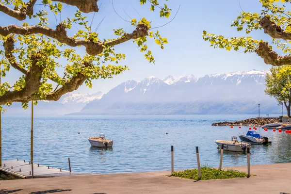 Schöner Naturhintergrund Mit Kopierplatz Für Taxt — Stockfoto