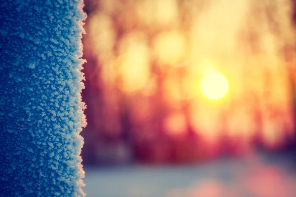 Frost på vintern. Abstrakt bakgrund. — Stockfoto