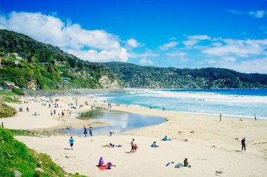 Bahia Mansa, Osorno Şili. 30 Ekim 2017. Güney Şili 'deki güzel kır plajı. Soğuk sular ve tehlikeli ama çok güzel..