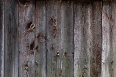 Ahşap doku eski plakalar