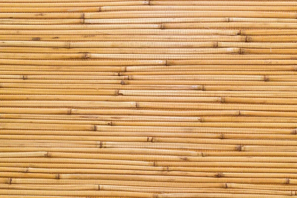 Dry reeds texture wallpaper — Stock Photo, Image