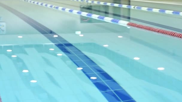 Lap pool with marked lanes — Stock Video