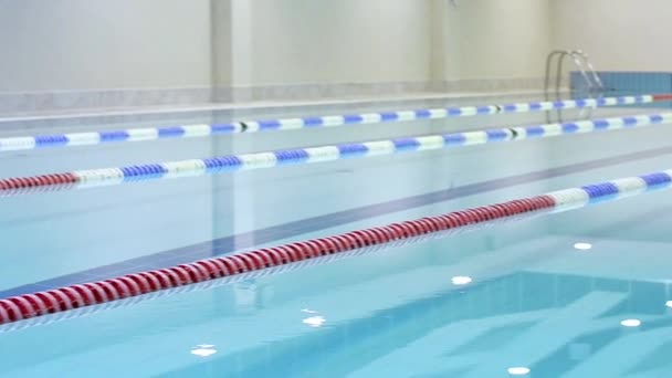 Piscina de lap com faixas marcadas — Vídeo de Stock