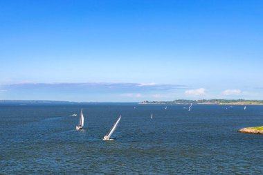 Yelkenli Bay Helsinki, Finlandiya