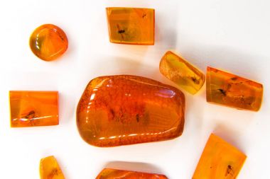 Palanga Amber Müze, Litvanya