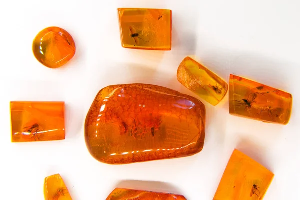 Palanga Amber Museum, Lithuania — Stock Photo, Image