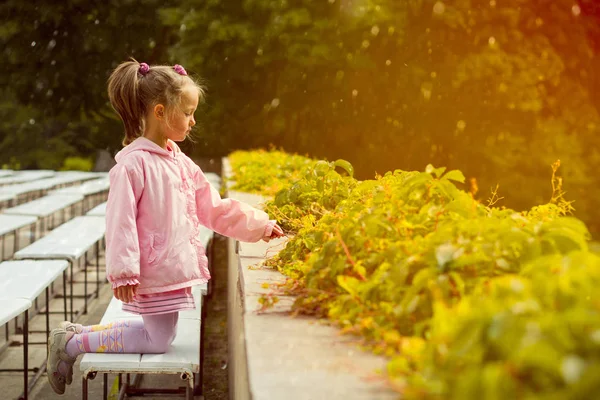 Menina em Palanga parque botânico, Lituânia — Fotografia de Stock
