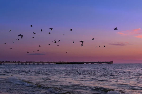 Flock of seagulls flying over pedestrian pier — Stock Photo, Image