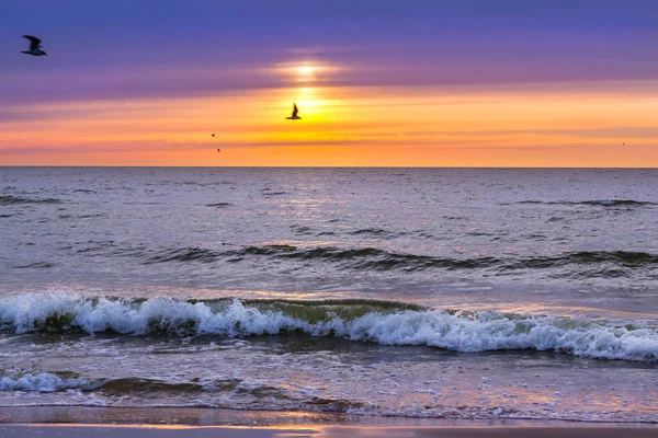 Захід Сонця Балтійського Моря Курорті Паланга Литви Промені Сонця Просвічувати — стокове фото