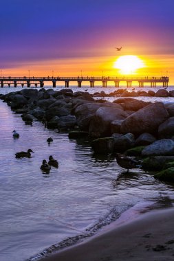 İskele denize uzanır. Palanga, Litvanya