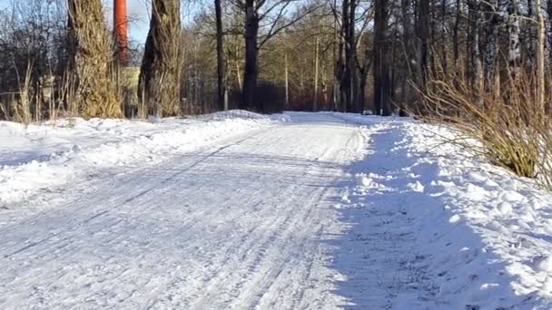 Inverno rolou estrada nevada através da floresta — Vídeo de Stock