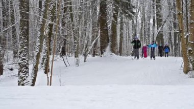 Genç tecrübesiz kayakçı pist üzerinde bir tepeden aşağı git