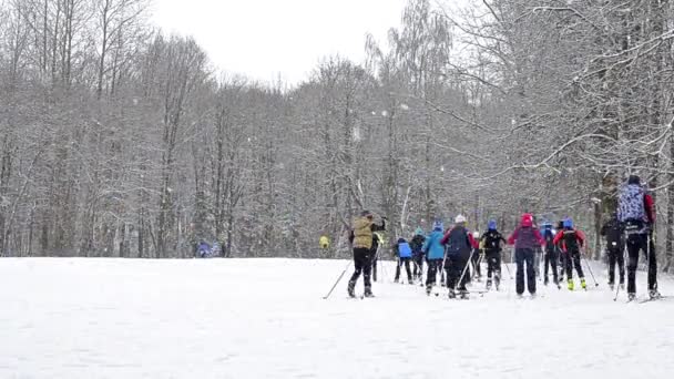 Skifahrer mit Skistöcken auf der Piste — Stockvideo