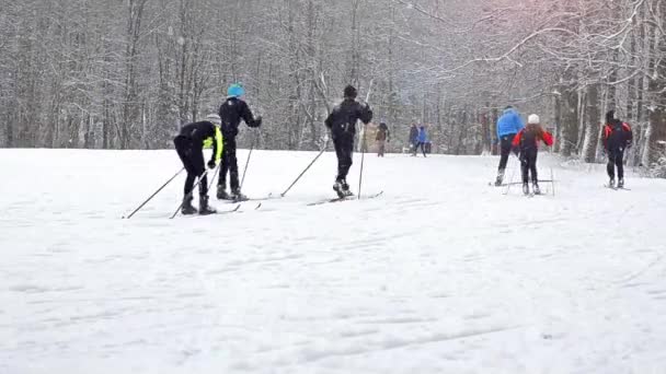 装备的滑雪滑雪滑雪用滑雪杆下大雪上白雪皑皑的丛林 积极的冬季运动 越野滑雪在新鲜的空气 Dudergof 克拉斯尼 Selo 俄罗斯 — 图库视频影像