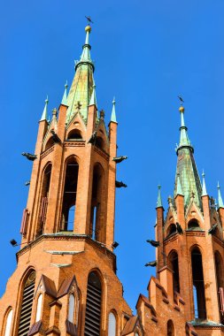 Kutsal Meryem varsayım katedral Bazilikası