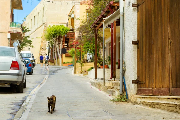 Zwarte dakloze kat lopen. Rethymnon, Kreta, Griekenland — Stockfoto