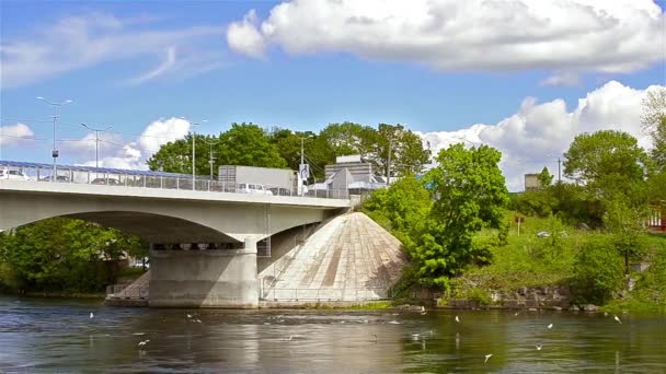 Camions lourds sur le pont à la frontière russo-estonienne — Video