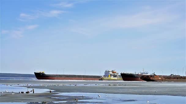 Barcaças de carga, embarcações, barcos ancorados no lago Onega — Vídeo de Stock