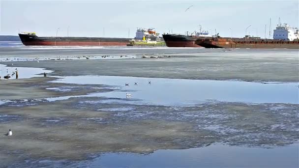 Chiatte da carico, navi, barche ormeggiate sul lago Onega — Video Stock