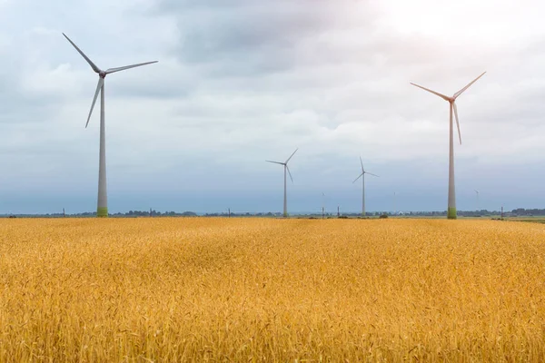 Wind turbine among golden ears of grain crops