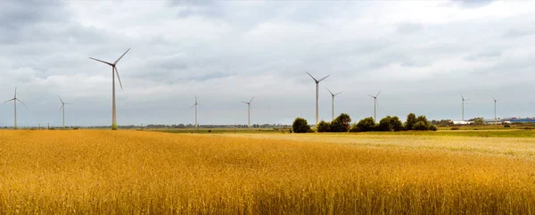 Wind turbine among golden ears of grain crops