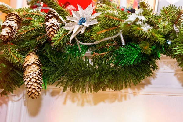 원뿔 장식 크리스마스 가문비나무 가지 — 스톡 사진