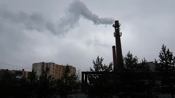 Fumaça do tubo de aquecimento na caldeira — Vídeo de Stock