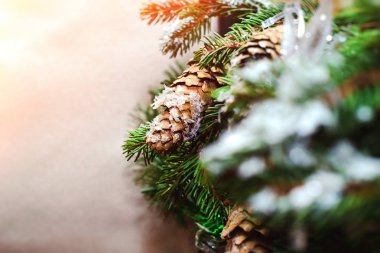 Noel çam dalları koniler süslemeleri ile