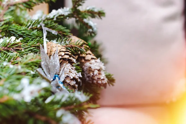 Ramos de abeto de Natal com decorações cones — Fotografia de Stock