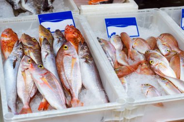 Taze deniz balığı buz Plato üzerinde. Crete, Yunanistan