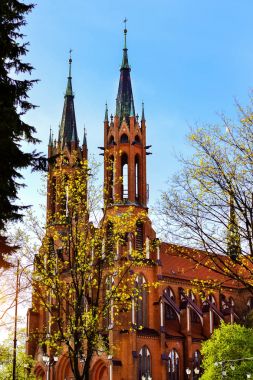 Kutsal Meryem varsayım katedral Bazilikası