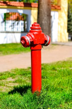 Kırmızı yangın musluğuna yeşil glade, Bialystok, Polonya