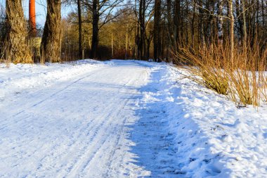 Kış karlı yol ormanın içinde yuvarlandı.