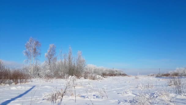 Severe Russian winter snowy landscape, frosty day — Stock Video