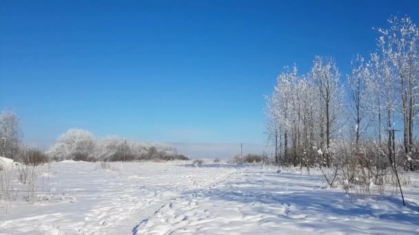 厳しいロシアの冬の雪に覆われた風景、冷ややかな日 — ストック動画