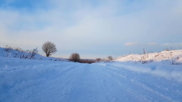 Суровый зимний снежный пейзаж России, морозный день — стоковое видео