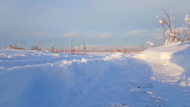 Суровый зимний снежный пейзаж России, морозный день — стоковое видео