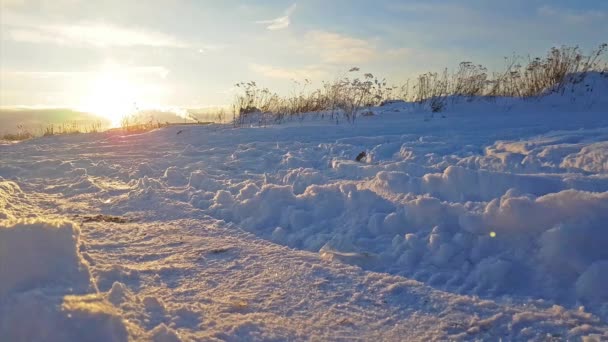 严寒的俄罗斯冬雪景观, 日落 — 图库视频影像