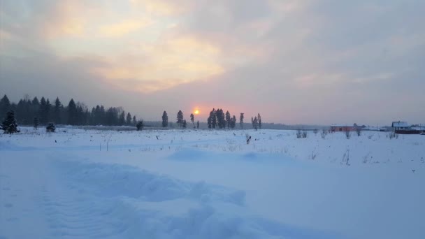 Severe Russian winter snowy landscape, sunset — Stock Video