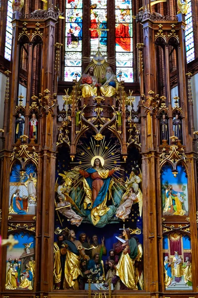 祝福されたマリアの被昇天大聖堂 — ストック写真