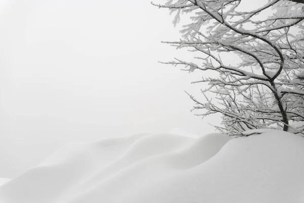 简洁的冬季景观 积雪漂移和树枝 很适合作为背景 — 图库照片