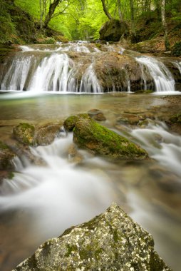 Dağ dere, ön planda güzel kökleri üzerinde küçük bir şelale