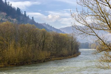 Dağlar, dağ nehir, Bahar yamaçlarında iğne yapraklı orman.