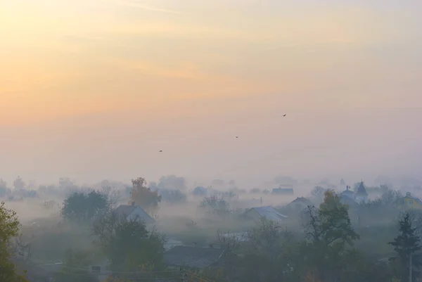 Les maisons et les arbres privés sont enveloppés de brouillard à l'aube. Plusieurs oiseaux survolent le village . — Photo