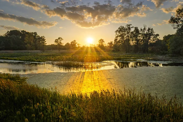 Paisaje de una puesta de sol en un estanque de verano . — Foto de Stock