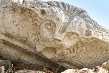 Bir aslan başı mermer oyulmuş.