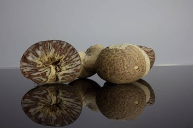 Tembul fındık yansıması ile siyah bir zemin üzerine yerleştirilir.