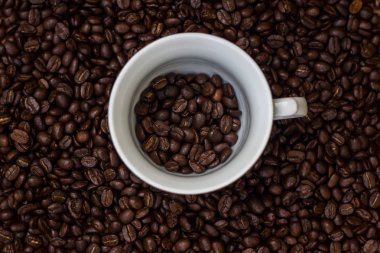 Bir fincan kahve çekirdekleri ile kahve çekirdekleri