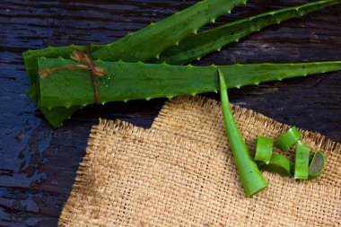 AloeVera taze yaprak üzerinde ahşap. Metin için yer