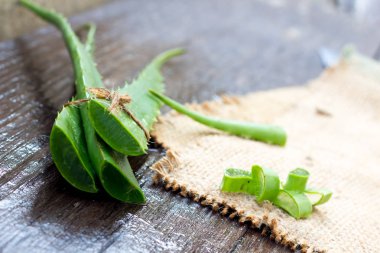 AloeVera taze yaprak üzerinde ahşap. Metin için yer